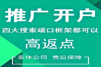 百度竞价代理实战技巧：经典案例深度解读